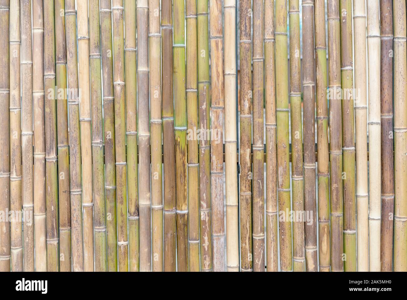 decorative wall panel, colorful bamboo stems in vertical pattern Stock Photo