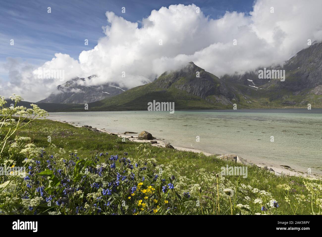 Loftofen-Archipel: Strand bei Ramberg auf der Insel Flakstadoy, Hurtigruten | usage worldwide Stock Photo