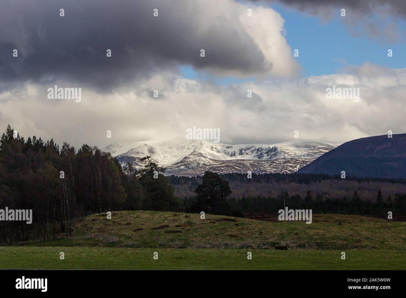 Early spring snow falling on the Mountains just South of Aviemore in the Strathspey part of the Cairngorms National Park, Scotland Stock Photo