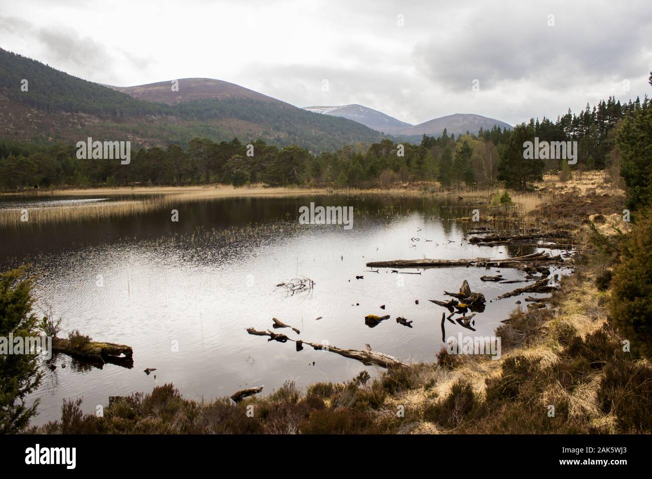Loch Gamhna, Rothiemurchus, Cairngorms National Park, Scotland, on an overcast day with Creag Chait in the background and some distant mountain Stock Photo