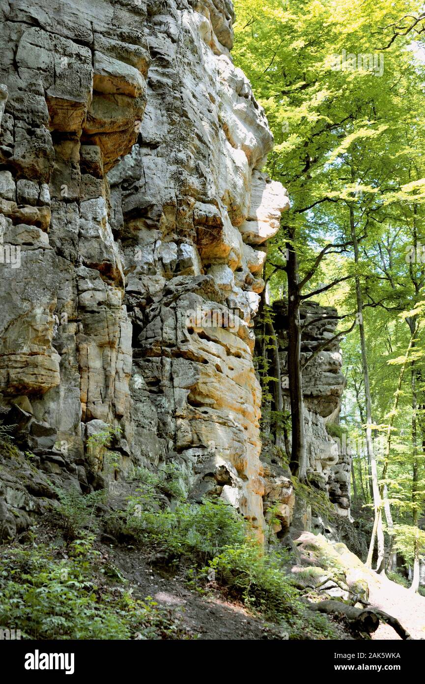 Ernzen Naturparkzentrum Teufelsschlucht, Eifel usage worldwide Stock