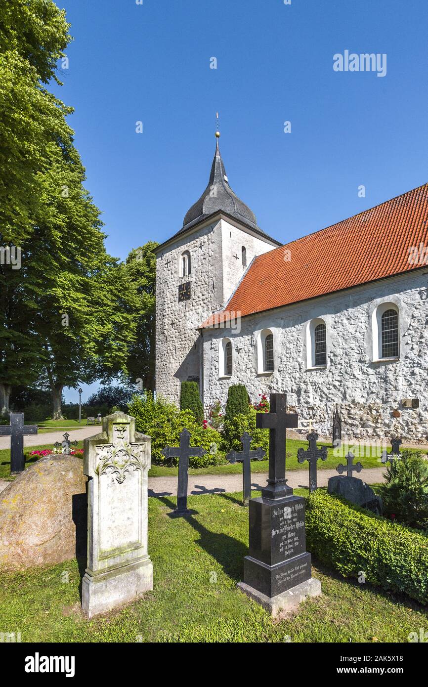 Bosau: Friedhof und Kirche St. Petri, Ostseekueste | usage worldwide Stock Photo