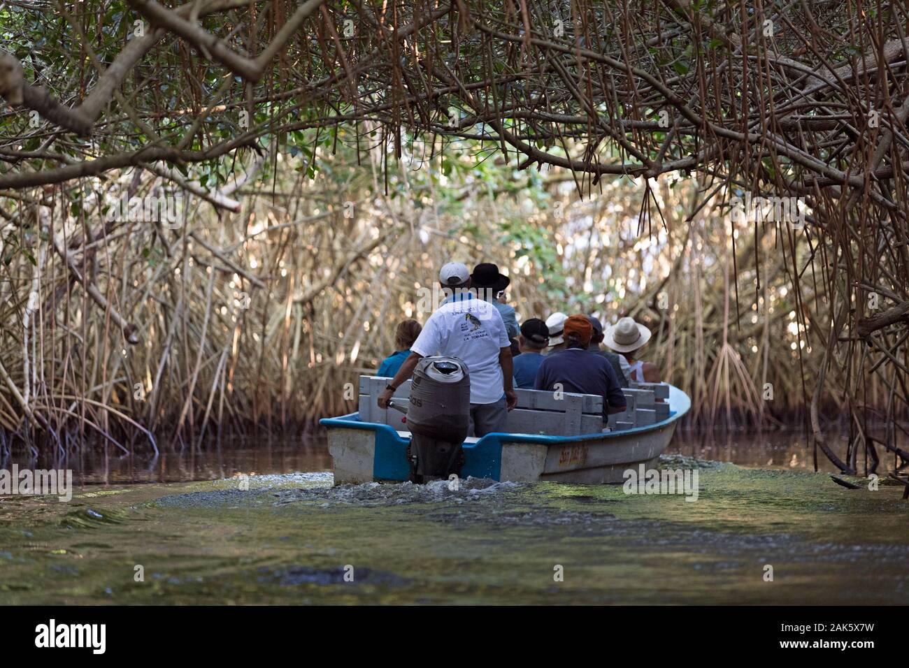 Mexico,Nayarit, San Blas, La Tovara National Park, boat with tourists exploring and birdwatching in a mangrove Stock Photo