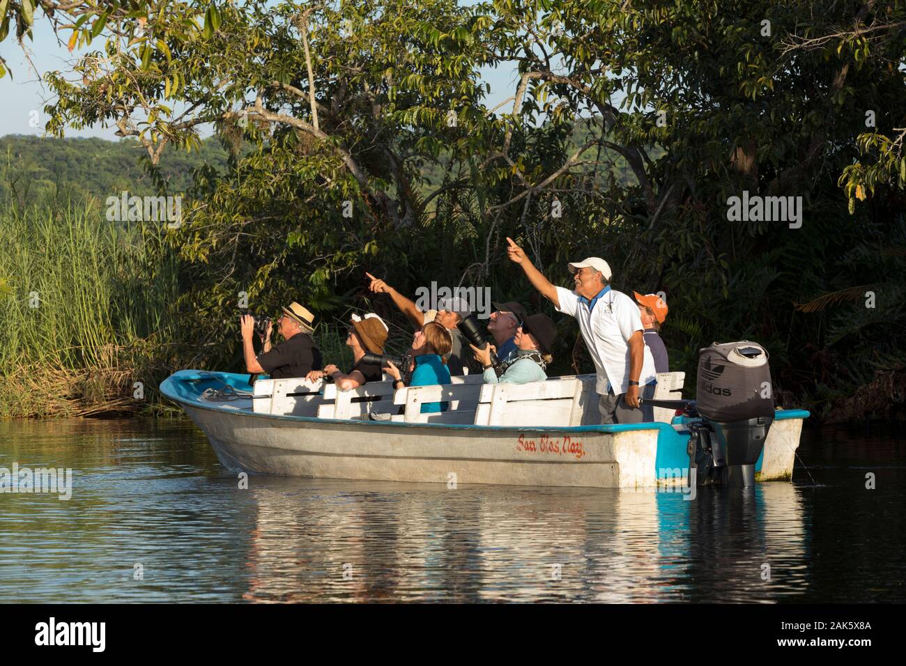 Mexico,Nayarit, San Blas, La Tovara National Park, birdwatching, group of tourists in a boat birdwatching in a mangrove Stock Photo