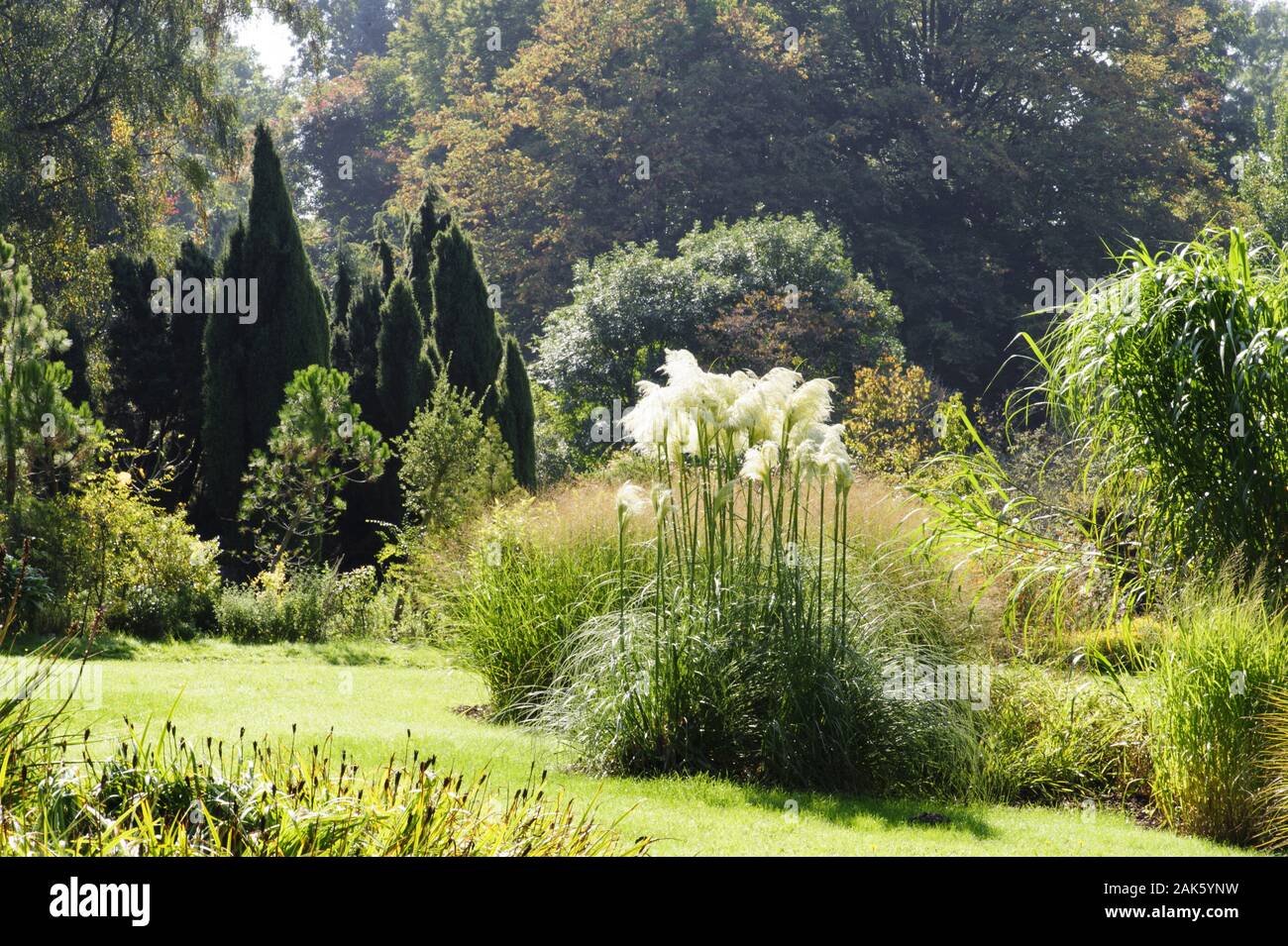 Darmstadt Botanischer Garten Odenwald Usage Worldwide Stock Photo Alamy