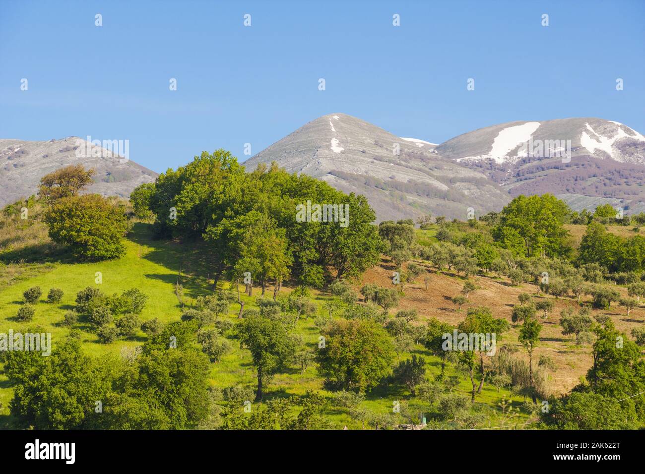 Kalabarien/Nationalpark Pollino: Landschaft bei San Sosti, Apulien | usage worldwide Stock Photo