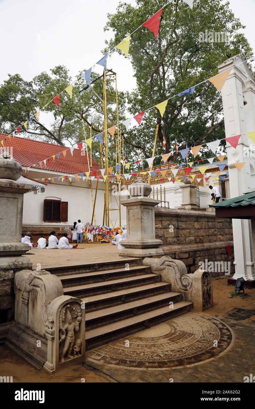 Anuradhapura: Bodhi-Baum, Glaeubige vor dem Ableger des Ficus, unter dem Buddha seine Erleuchtung erlangt haben soll, Sri Lanka | usage worldwide Stock Photo