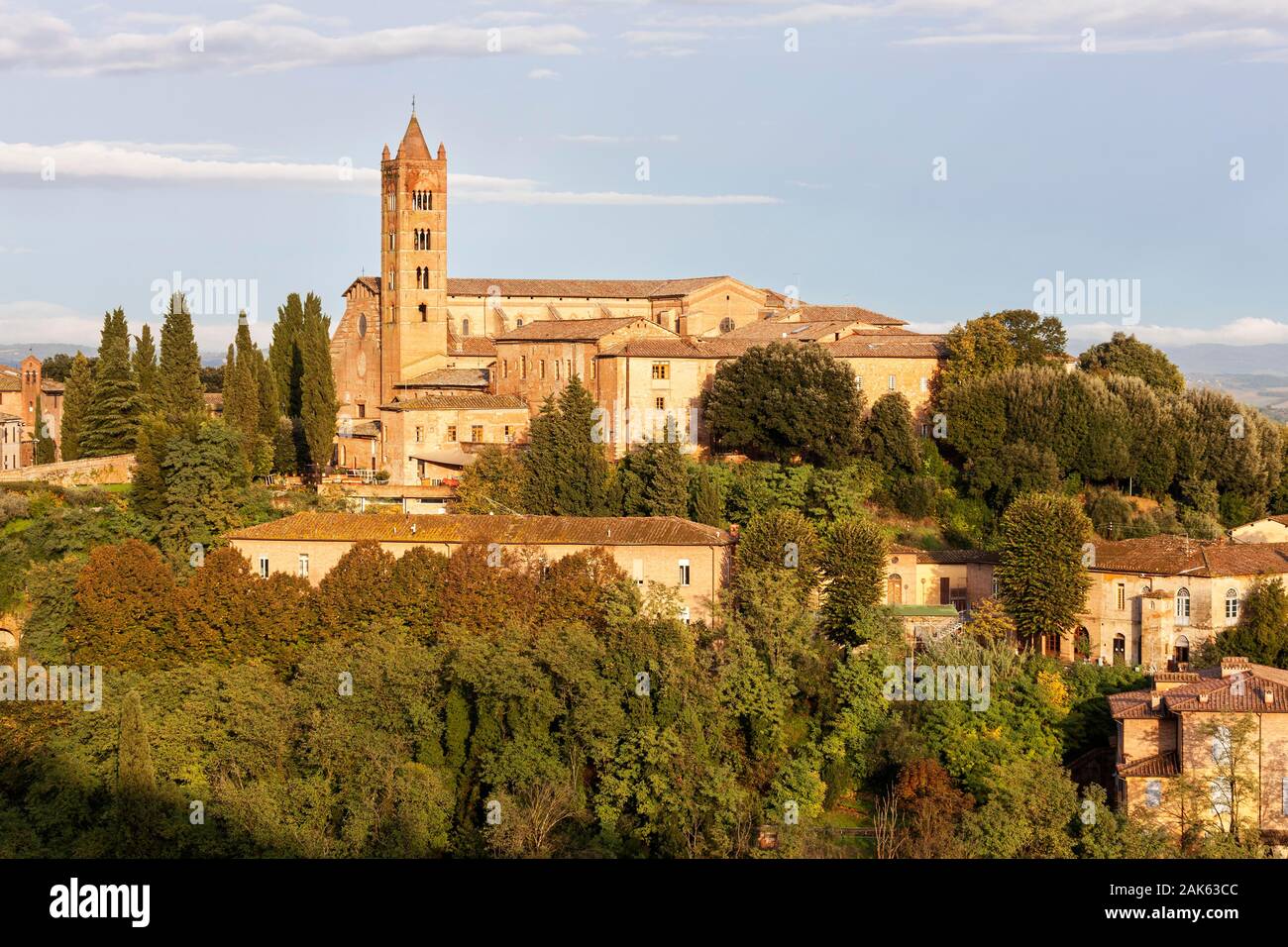 Basilica di San Clemente in Santa Maria dei Servi, Siena, Tuscany, Italy Stock Photo