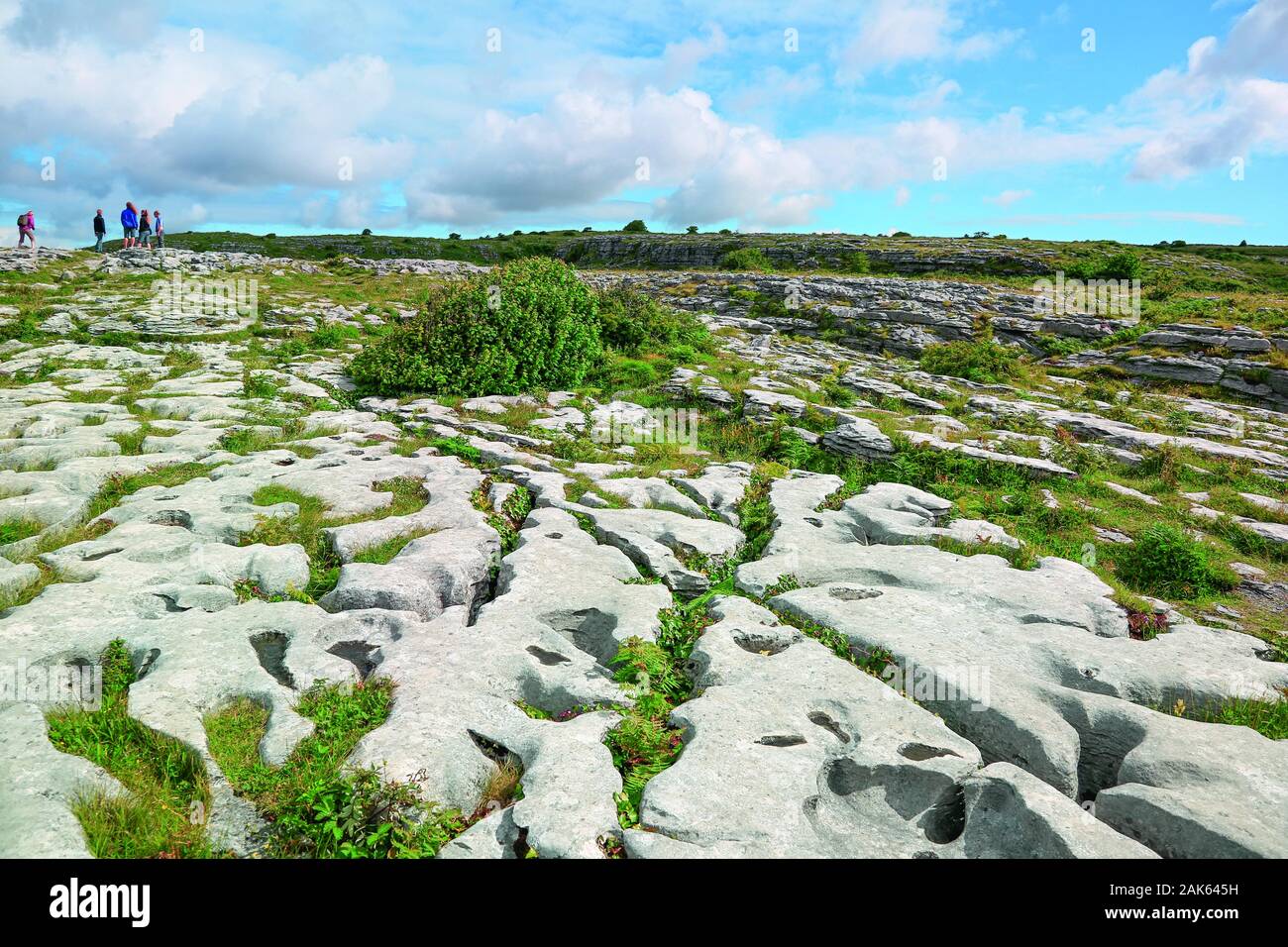 Grafschaft Clare: felsige Graslandschaft im Burren National Park, Irland | usage worldwide Stock Photo