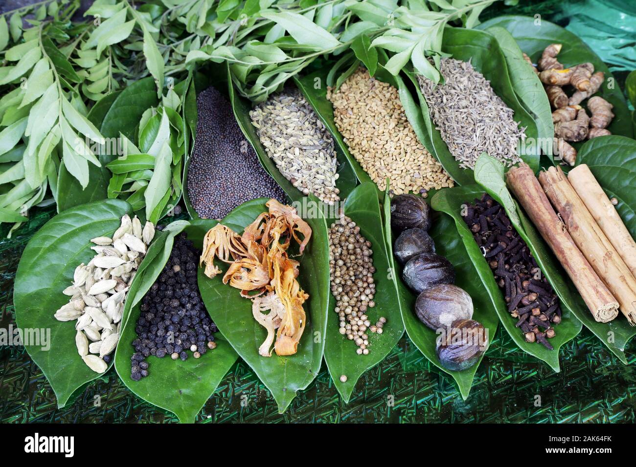 Matale spice garden hi-res stock photography and images - Alamy