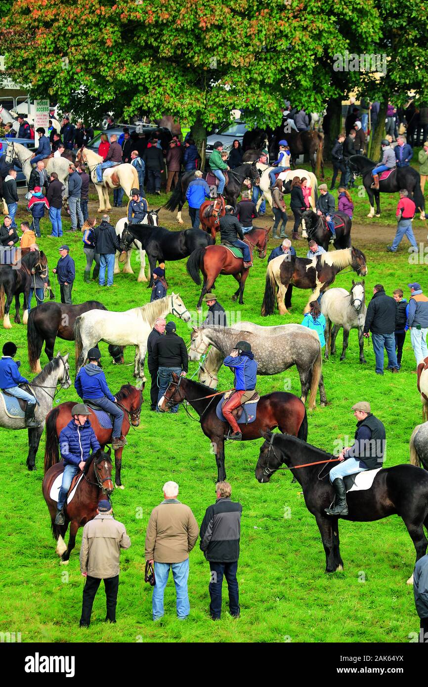 Grafschaft Galway "Horse Fair" in Ballinasloe, jaehrlich