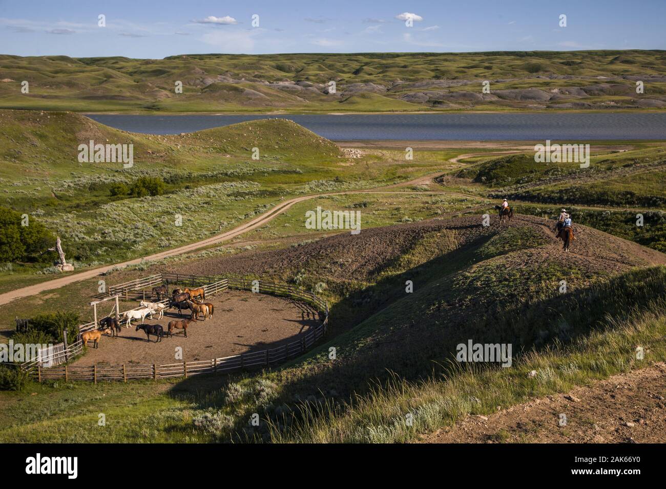 Saskatchewan: Kyle, 'La Reata Ranch' am Saskatoon River, Ausritt durch die weite Graslandschaft, Kanada Westen | usage worldwide Stock Photo