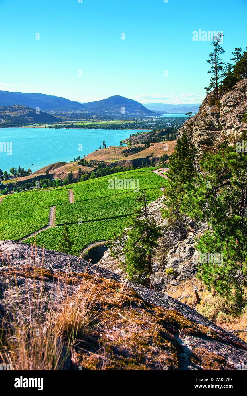 British Columbia/Okanagan Tal: Penticton, Ausblick vom Skaha Bluffs Provincial Park auf die Weinberge der Painted Rock Winery am Shaha Lake, Kanada We Stock Photo