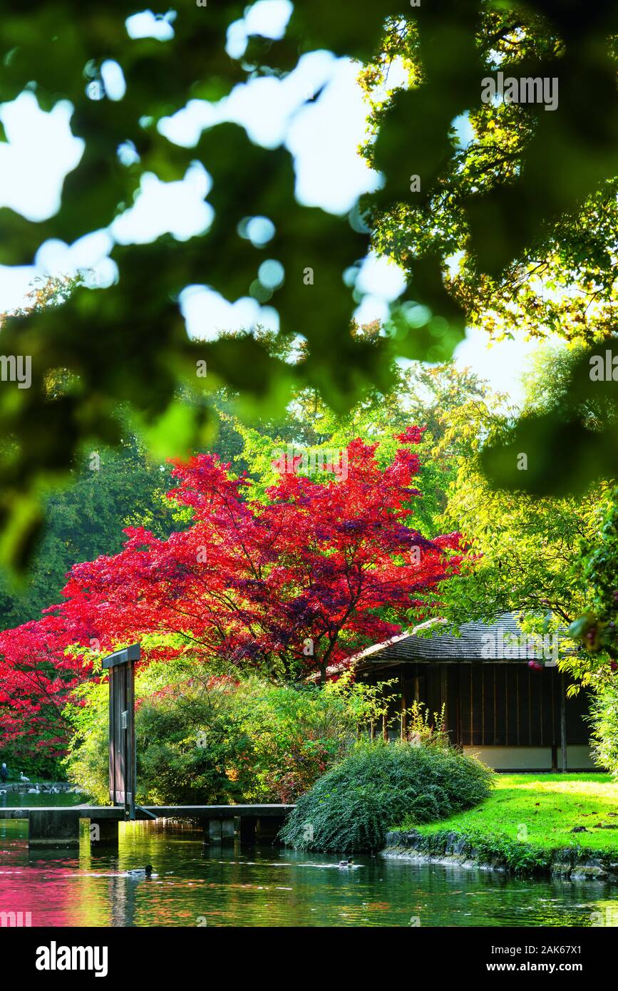 Stadtteil Schwabing: Japanisches Teehaus im Englischen Garten, Muenchen | usage worldwide Stock Photo