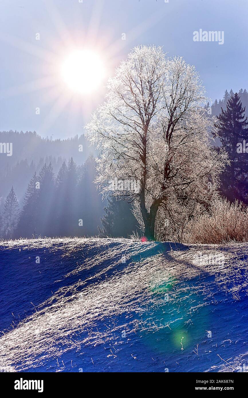 Techendorf: winterliche Landschaft am Weissensee, Karnten | usage worldwide Stock Photo
