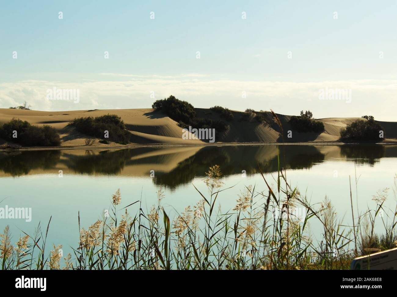 The large sand dunes that form part of a nature reserve, reflecting on a lake in Maspalomas, Gran Canaria, Las Palmas. Stock Photo