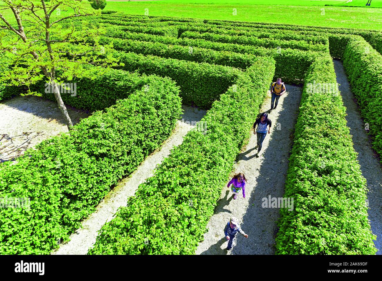 Rosegg: Gartenlabyrinth im Schloss & Tierpark Rosegg, Kaernten | usage worldwide Stock Photo
