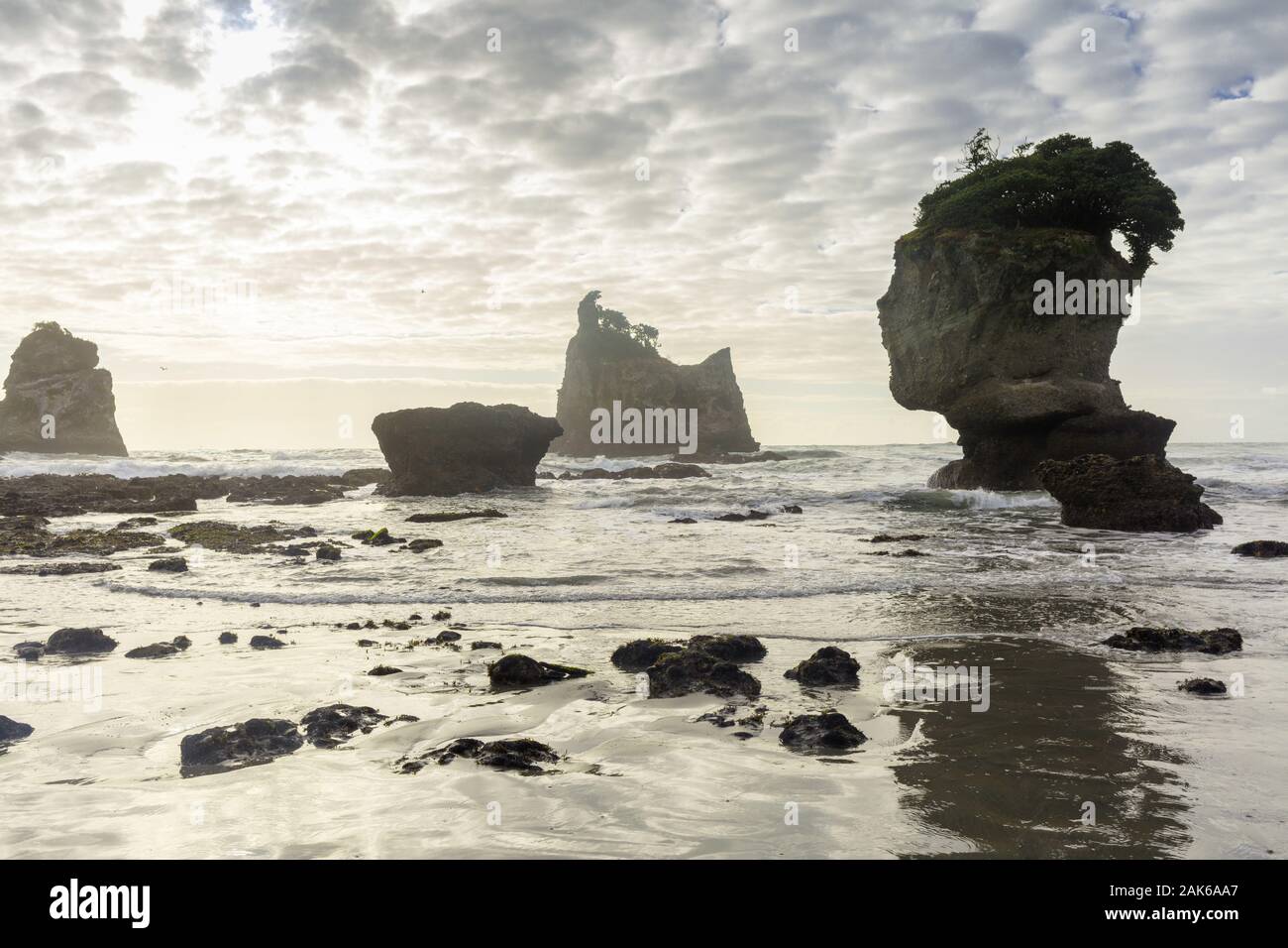 Suedinsel: bei Greymouth, Motukiekie Beach an der Westkueste, Neuseeland | usage worldwide Stock Photo