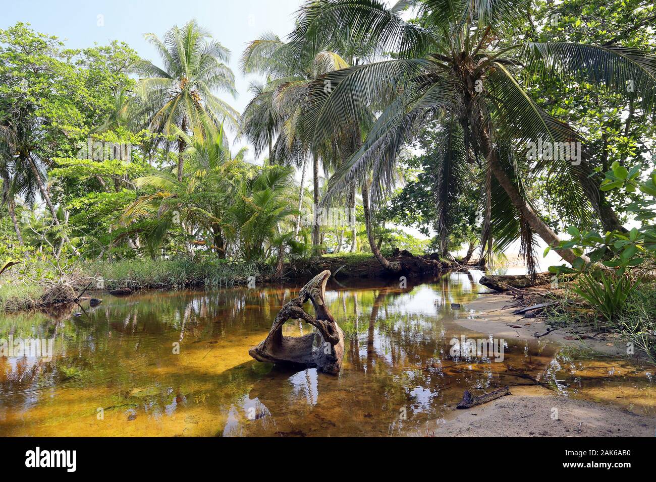 Provinz Limon Wasserloch im Nationalen Tierschutzgebiet Gandoca