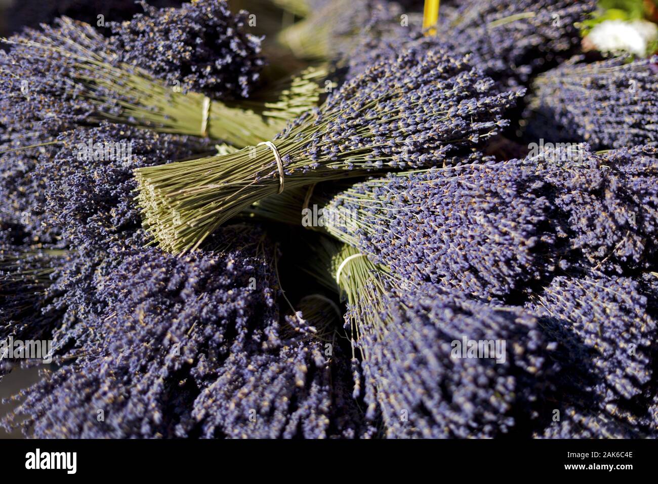 Apt: Frischer Lavendel zum Verkauf, Provence | usage worldwide Stock Photo