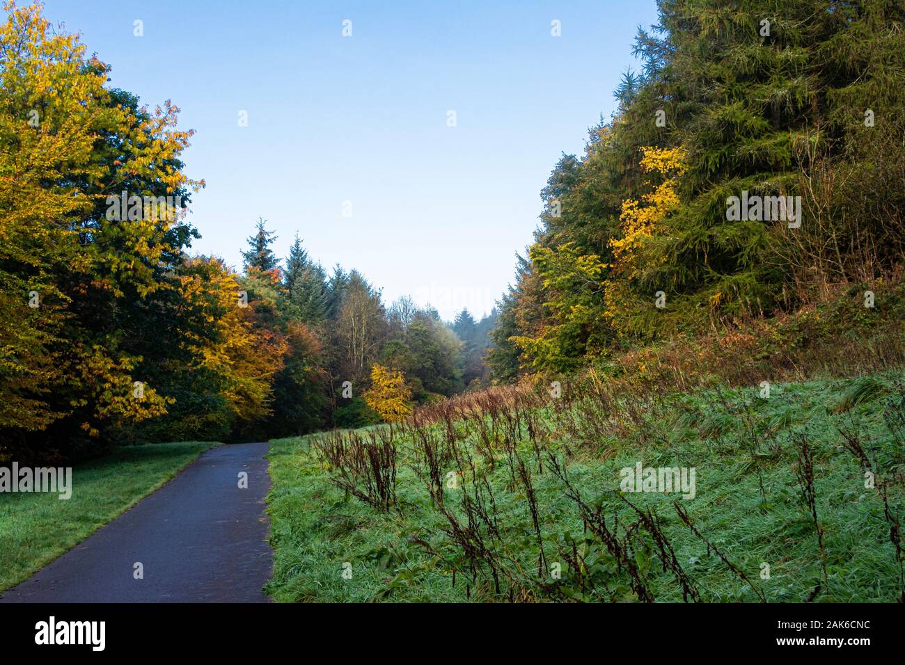 The beginning of fall hi-res stock photography and images - Alamy