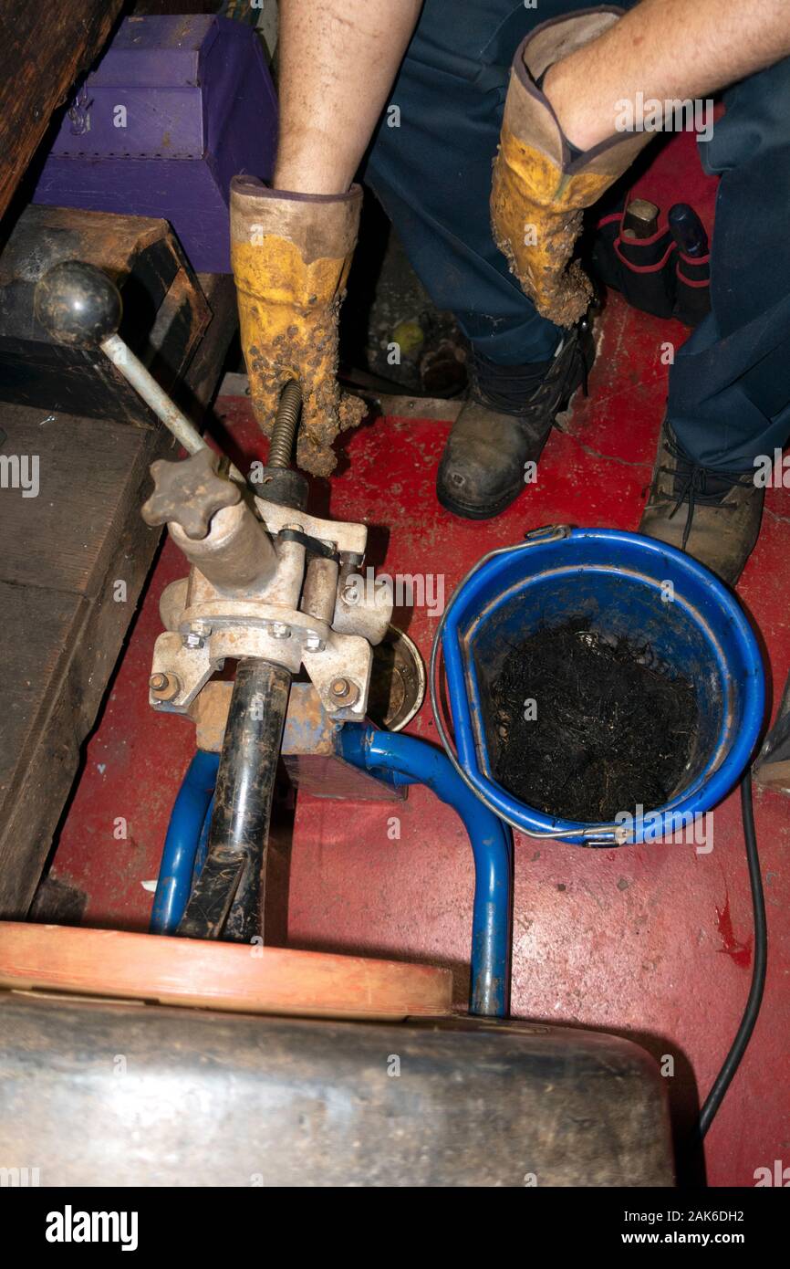 Plumber working at removing roots that block the drain. St Paul