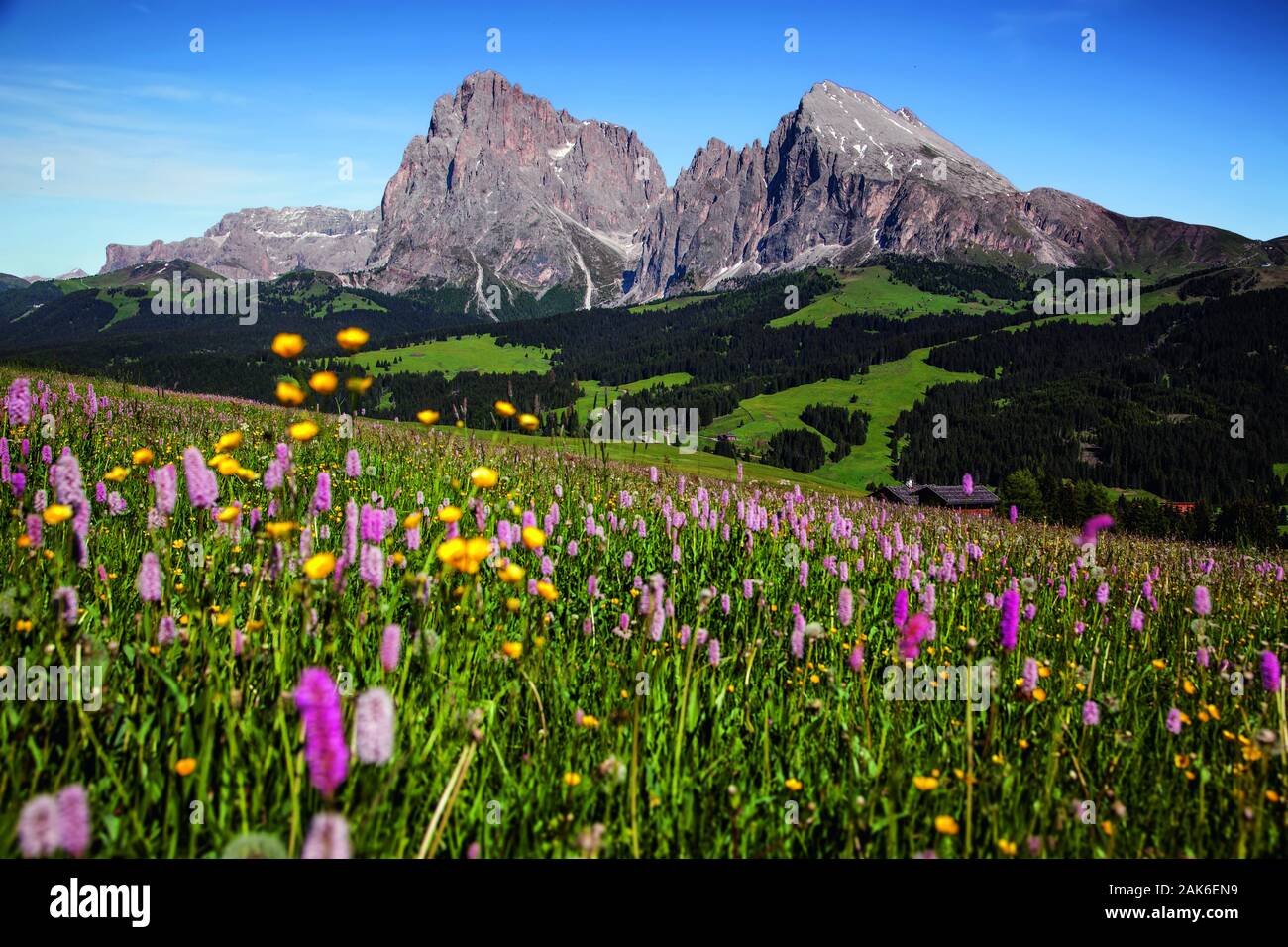 Seiser Alm Mit Langkofel Und Plattkofel Suedtirol Usage Worldwide seiser-alm-mit-langkofel-und-plattkofel-suedtirol-usage-worldwide