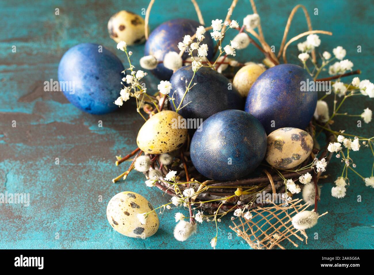 Blue easter eggs in a nest on a blue stone or slate background. Stock Photo