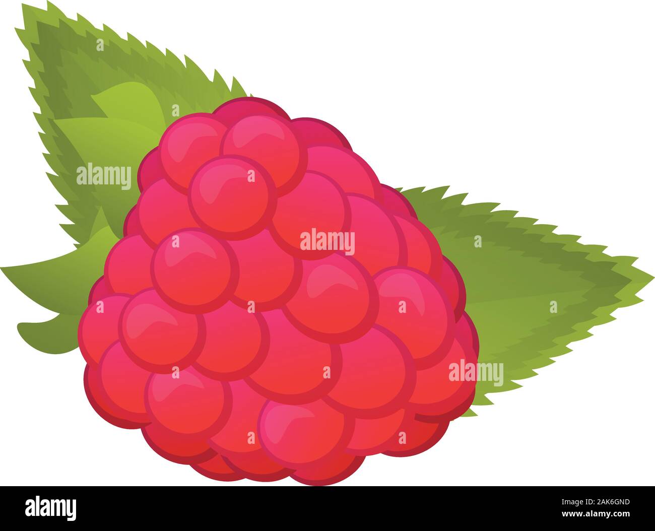 Fruit raspberry icon. Cartoon of fruit raspberry vector icon for web ...
