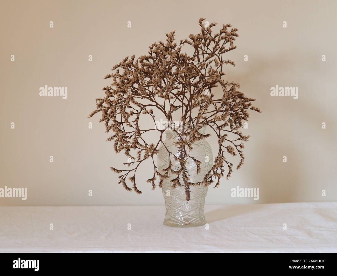 still life with dried flowers and wall with copy space Stock Photo - Alamy