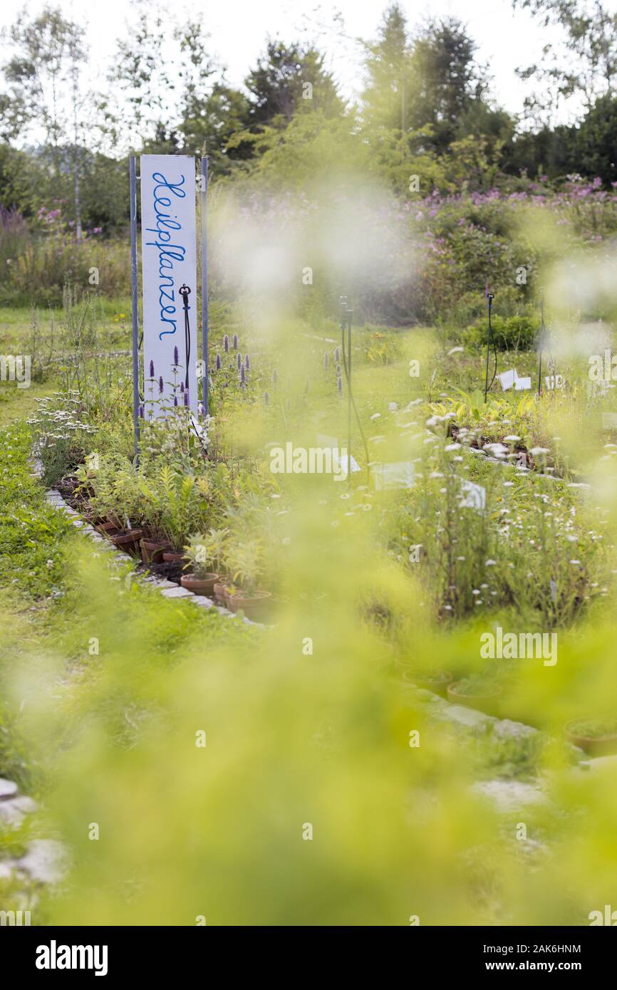 Stiefenhofen: 'Artemisia', Allgaeuer Gaertnerei und Kraeutergarten, Allgaeu | usage worldwide Stock Photo