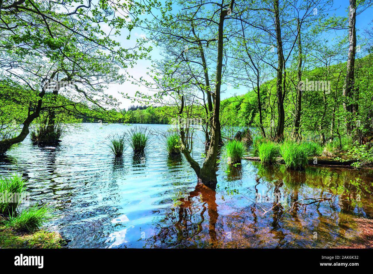 Nationalpark Jasmund Landschaft Am Herthasee Ruegen Usage Worldwide Stock Photo Alamy Nationalpark Jasmund Landschaft Am Herthasee Ruegen Usage Worldwide Stock Photo Alamy