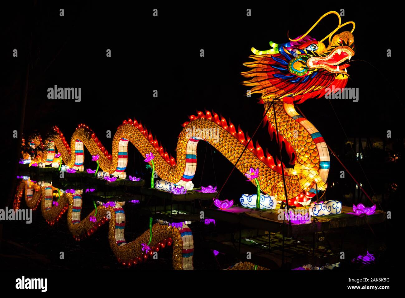 A fiery dragon is part of a light show in Los Angeles at the LA Arboretum in Los Angeles County Ca,  part of the Moonlight Forest light show. 12/19 Stock Photo