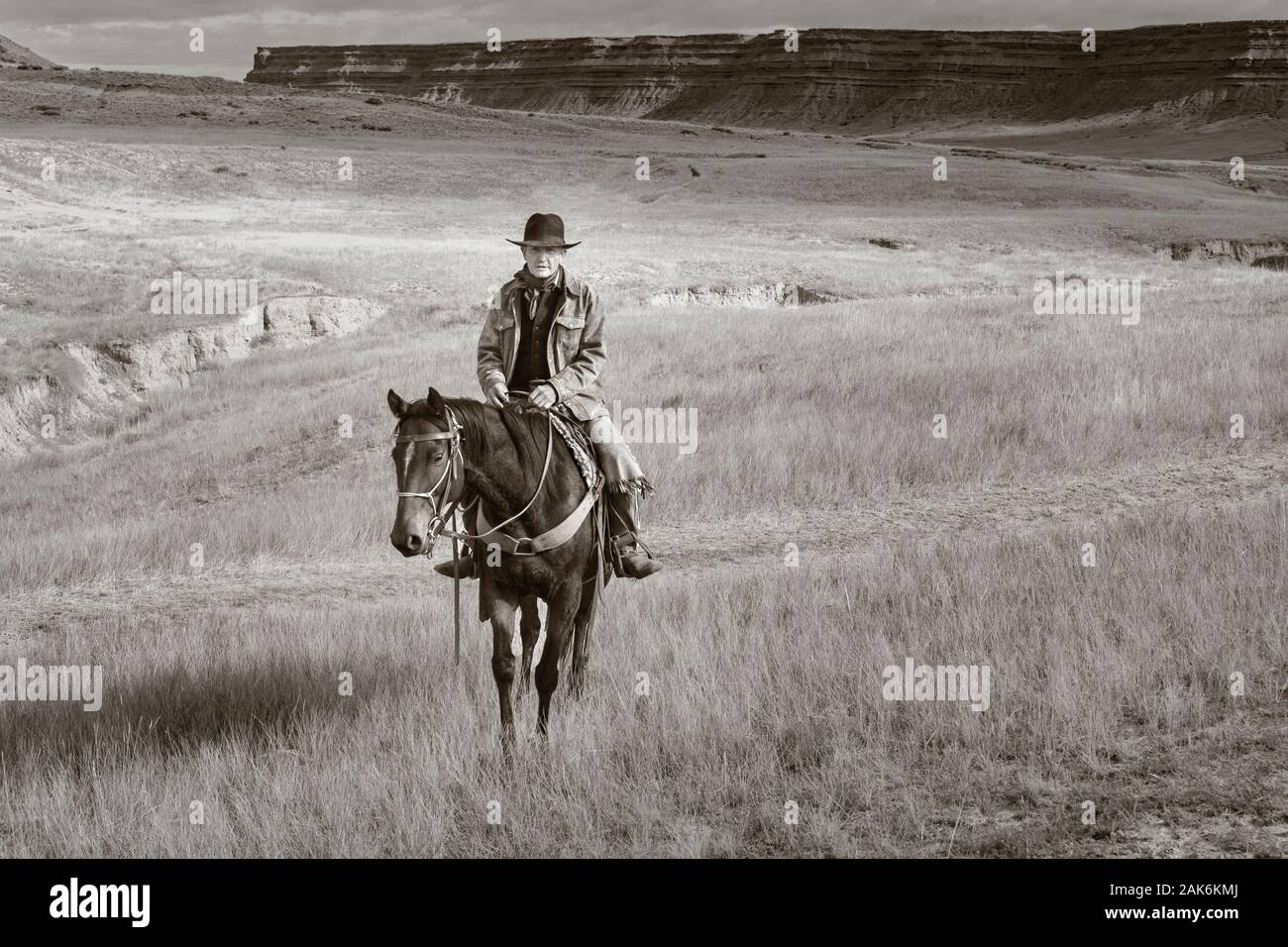 WY04133-00-BW...WYOMING - Ord Buckingham with his horse on the Willow Creek Ranch.  MR# B20 Stock Photo