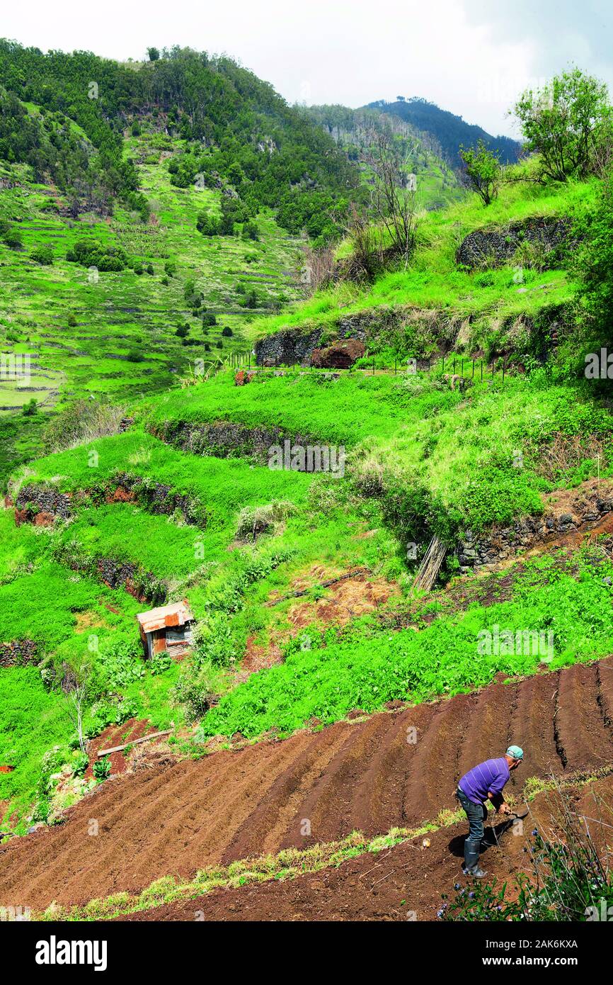 Ponta del Sol Rundwanderweg entlang der kuenstlichen Wasserkanaele