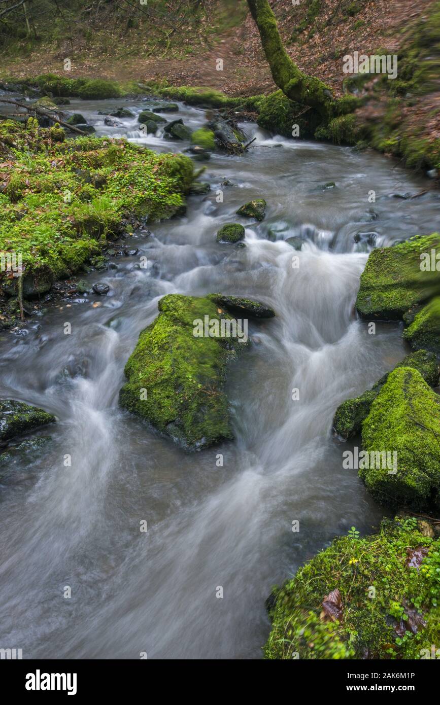HornBad Meinberg Wandern im wildromantischen Silberbachtal entlang