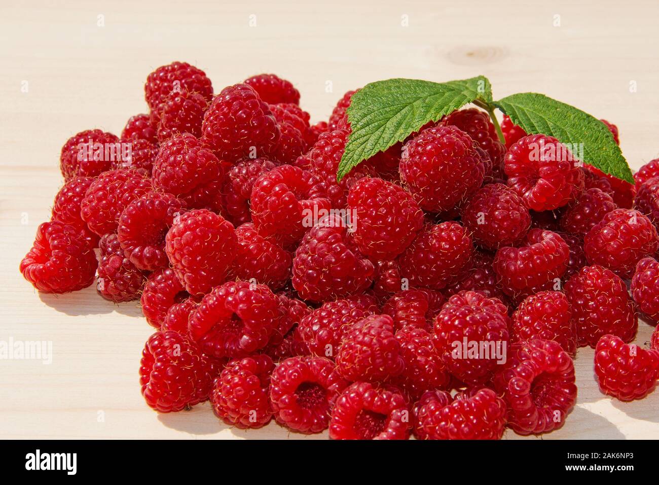 Freshly picked raspberries Stock Photo