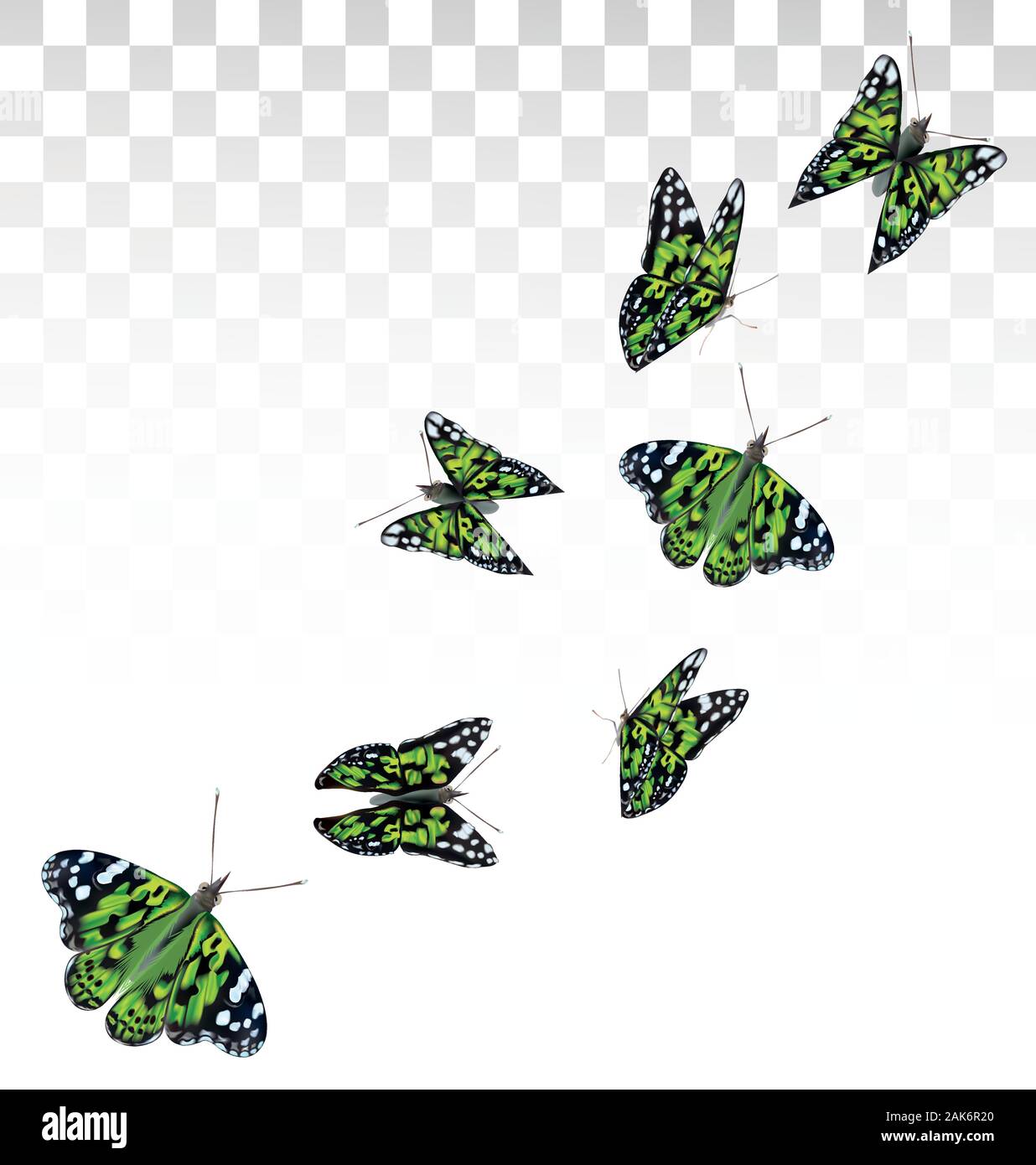 Flying green butterflies isolated on transparent background. 3D realistic  beautiful colorful butterflies. Biology. Vector illustration Stock Vector  Image & Art - Alamy
