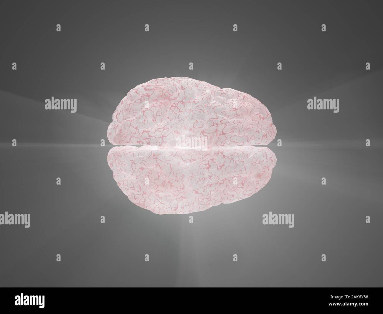 Human brain model. 3D rendering Stock Photo - Alamy