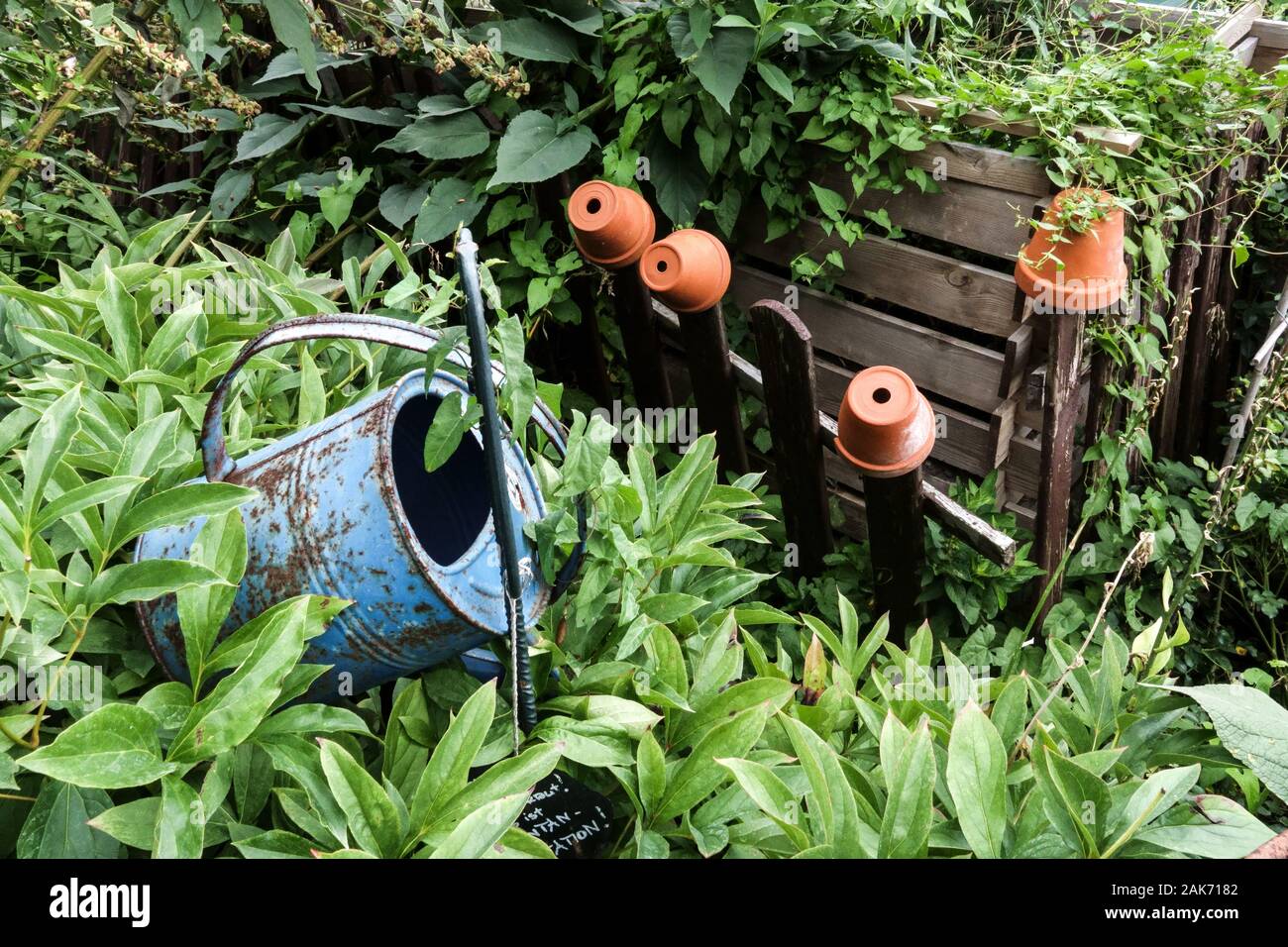 Overgrown garden, water can, flower pots on fence, wooden composter Stock Photo