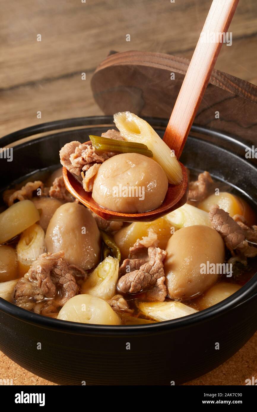 Japanese style casserole Stock Photo Alamy