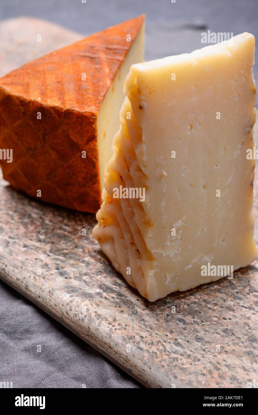 Cheese collection, variety of Spanish hard manchego cheese made from