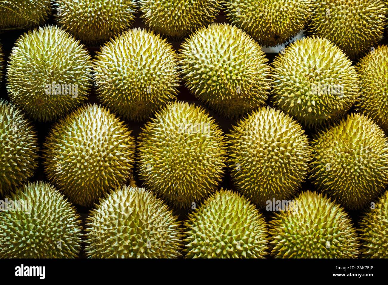 durian fruits on market stand - Durian fruit Stock Photo
