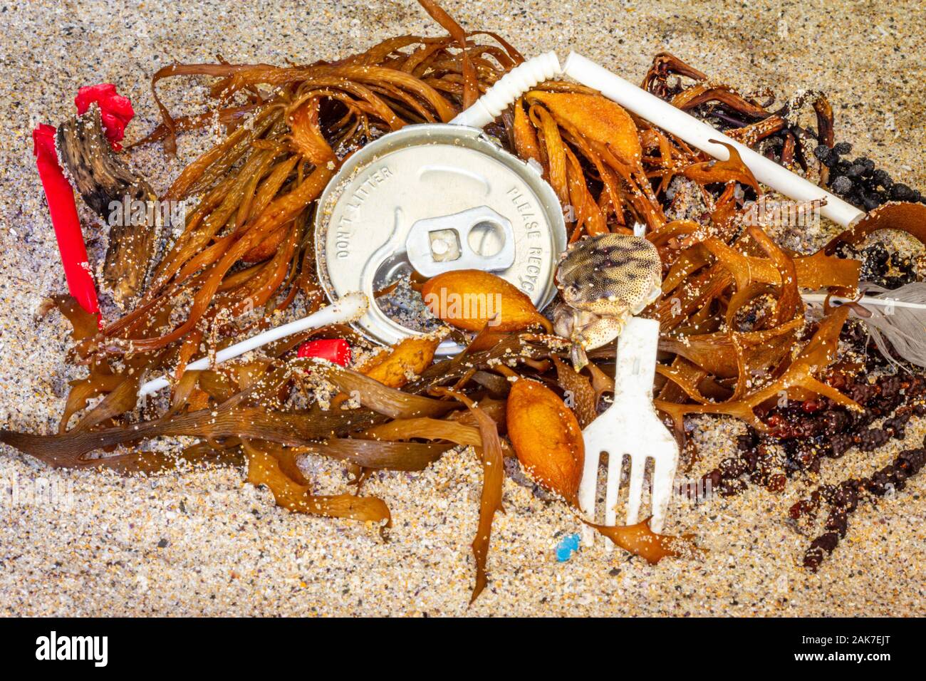 Will Seaweed Straws Help Us Reduce Plastic Use?