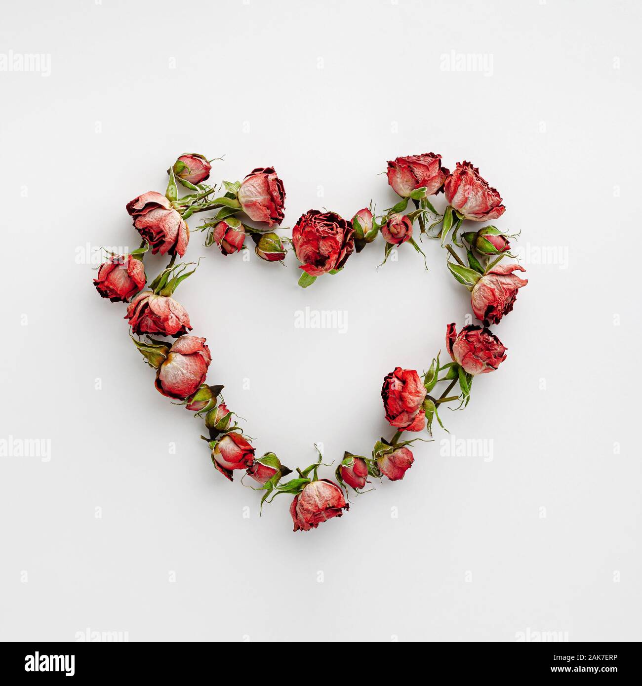 Frame in a heart shape made with dried red roses on white background ...