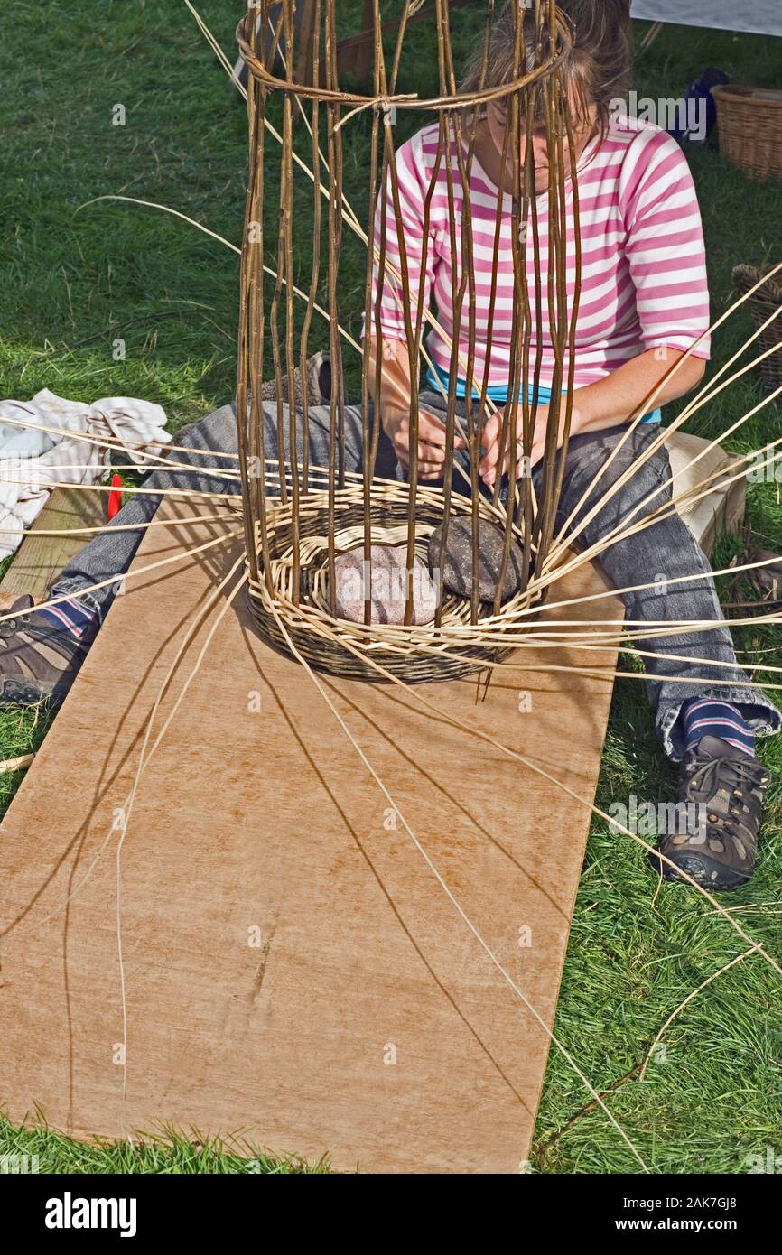 WEAVING with willow (Salix viminalis ) OSIER WITHIES. Basket making. Sides being woven around already made base. Rural craft. Natural resource. Stock Photo