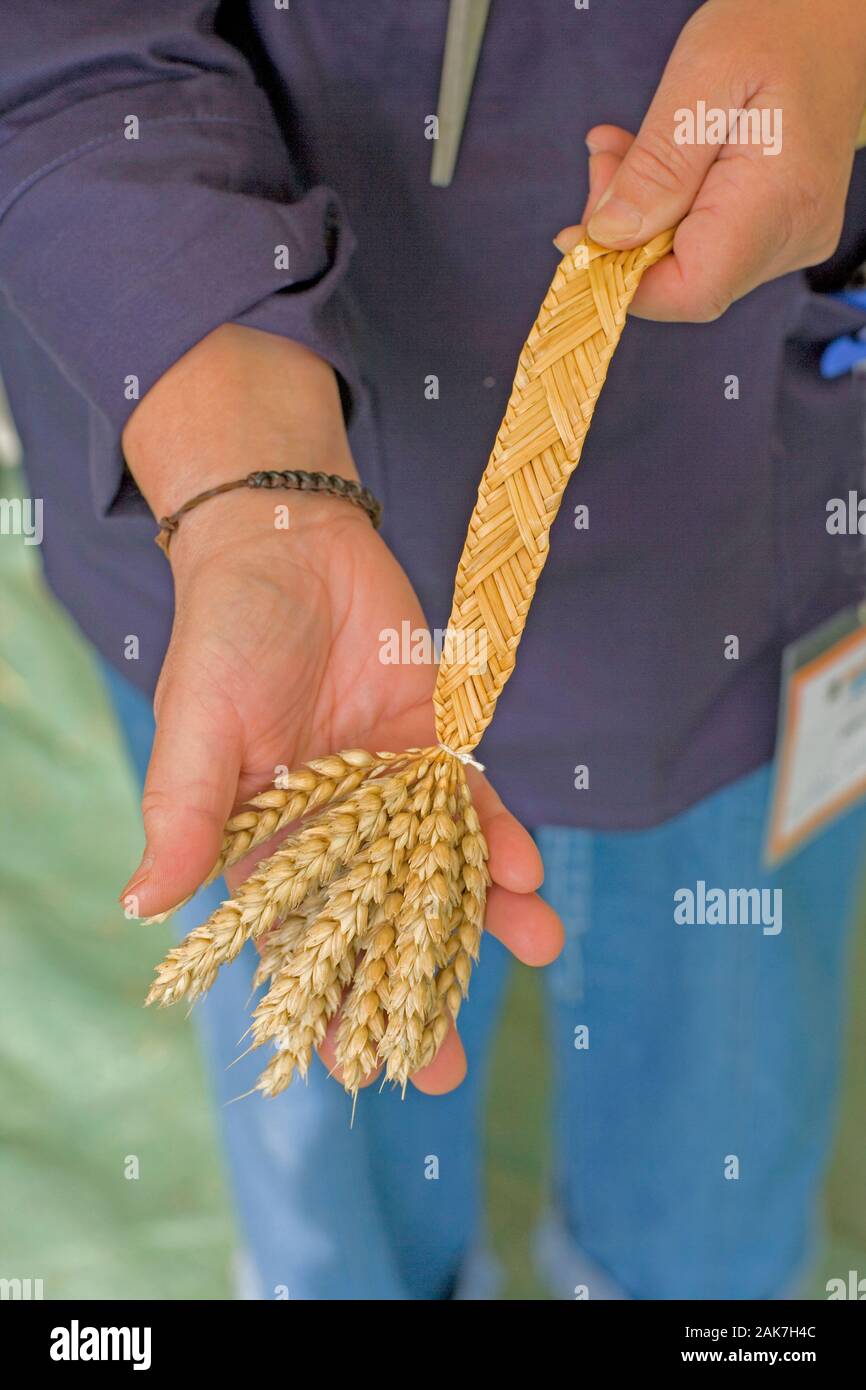 CORN DOLLY made from woven wheat straw (Triticum sp.) Sample of a traditional rural/country craft continued from Saxon times in Britain. Associated wi Stock Photo
