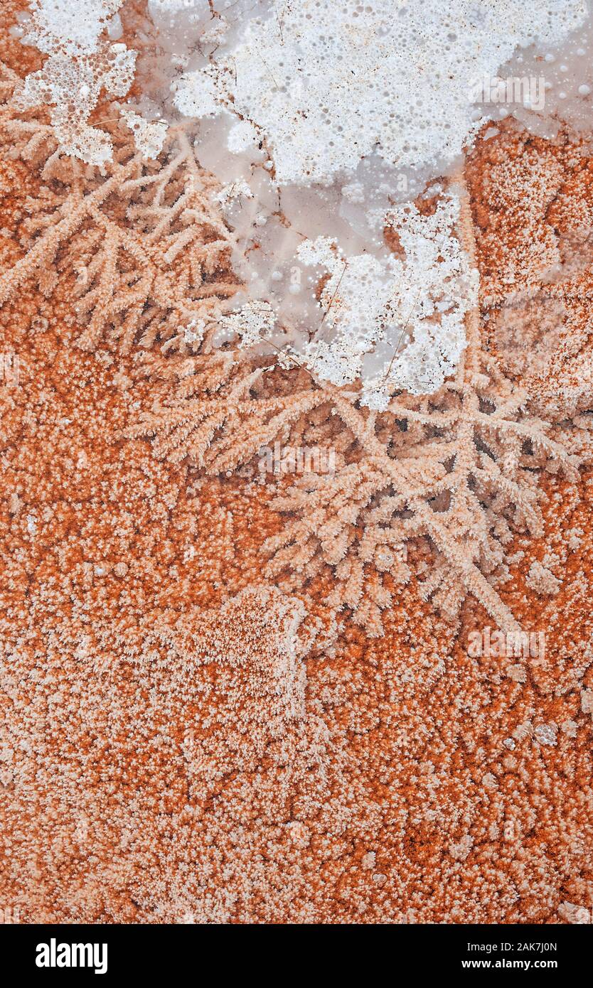 Mineral structures of hot springs, USA Stock Photo Alamy
