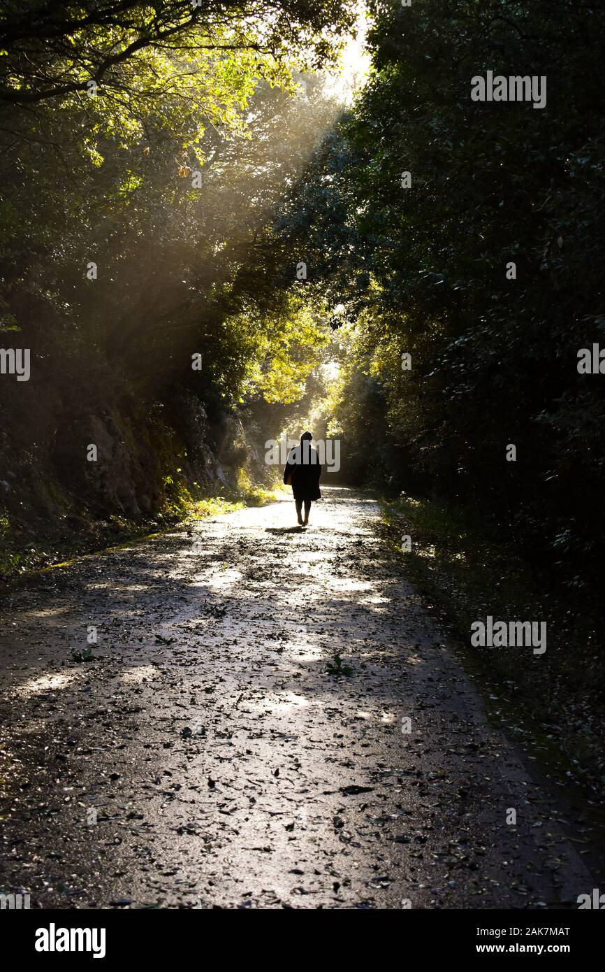 People walking under woods hi-res stock photography and images - Alamy