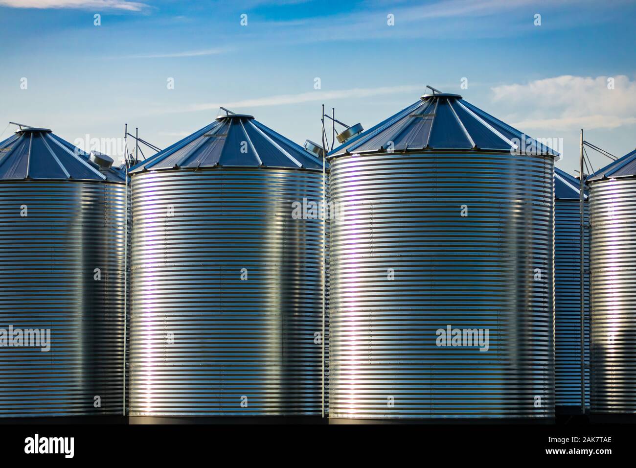 Steel cylinder storage silos are seen on a grain farm beneath a bright
